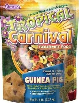 F.M. Brown's Tropical Carnival Guinea Pig 6-3 lb. For Cheap