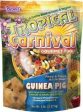 F.M. Brown's Tropical Carnival Guinea Pig 6-3 lb. For Cheap