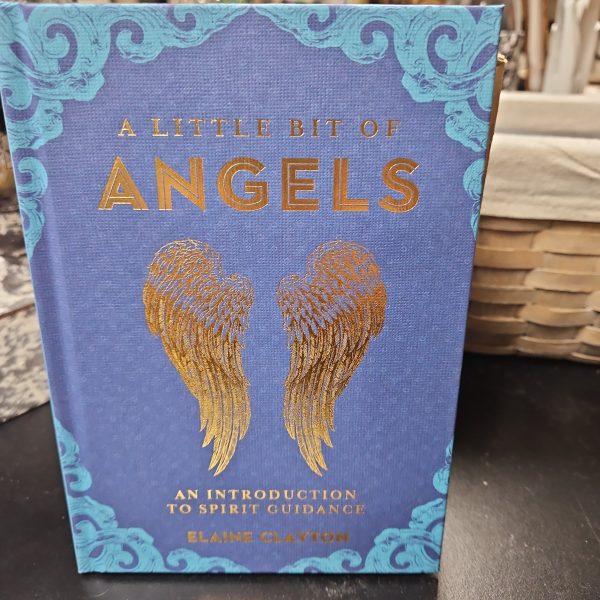 A Little Bit of Angels By Elaine Clayton Online now