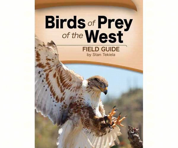 Birds of Prey Field Guide For Discount