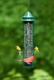 Squirrel Buster Seed Feeders Discount