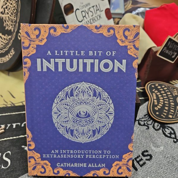 A Little Bit of Intuition By Catharine Allan Fashion