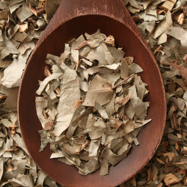 Eucalyptus Leaf (Eucalyptus globulus) - Herb Cheap