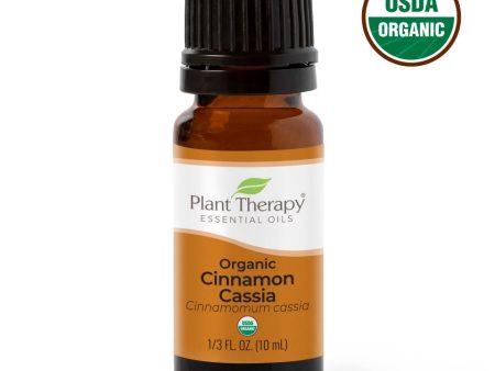 Cinnamon Cassia Organic Essential Oil 10 ml Sale