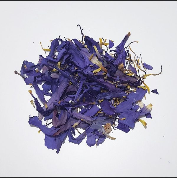 Blue Lotus - Organic Dried Flowers in Apothecary Jar Online Sale