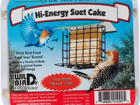 Suet Hi-Energy Fashion