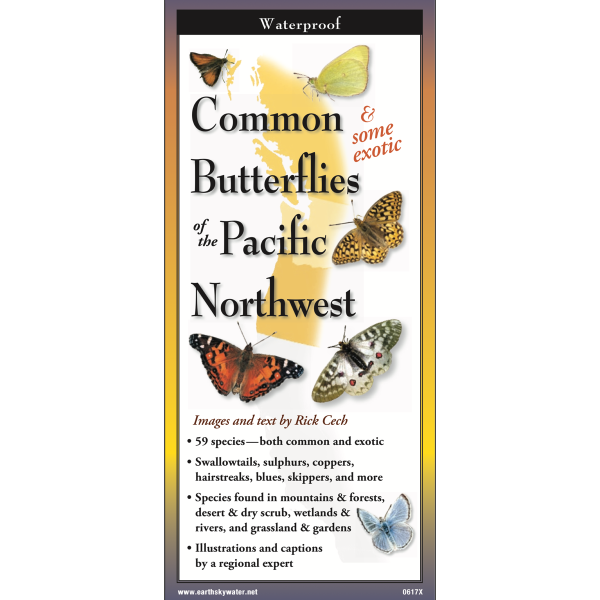 Foldout Guide to Common Butterflies of the PNW For Sale