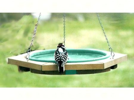 Bird Bath Hanging Mini Green For Discount