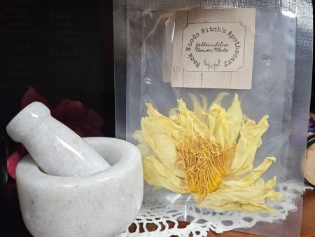 Yellow Lotus Flower Whole Flower Dried Supply