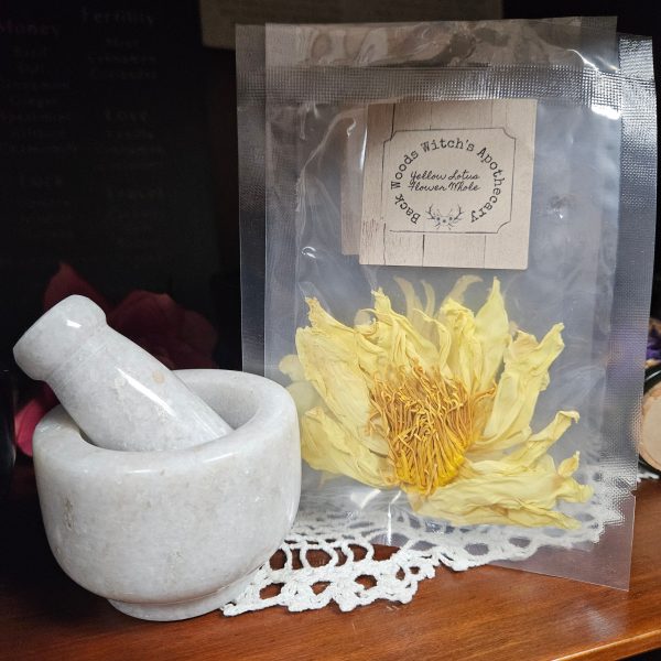 Yellow Lotus Flower Whole Flower Dried Supply