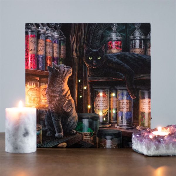 Magical Emporium Light Up Canvas Print by Lisa Parker Cheap