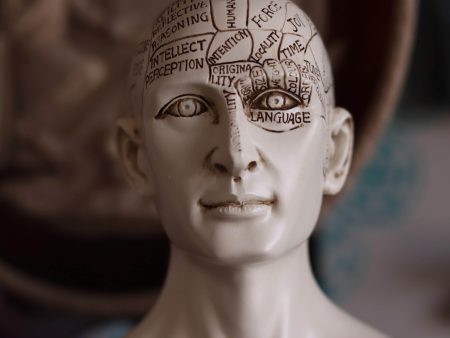 Phrenology Head 6  Cheap