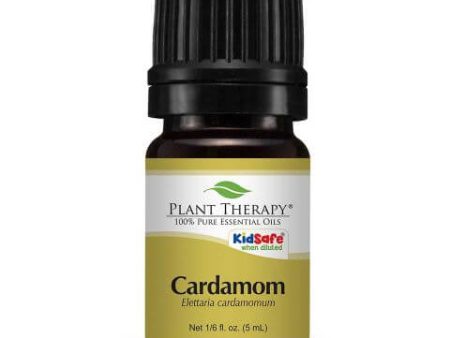 Cardamom Essential Oil 5 ml Supply