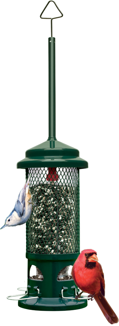 Squirrel Buster Seed Feeders Discount