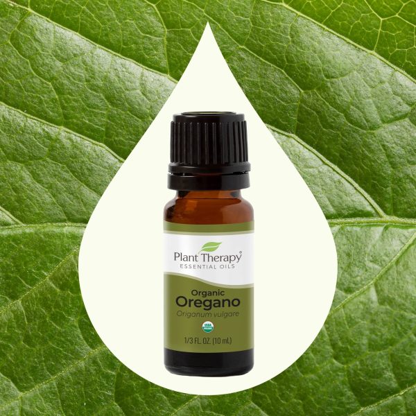 Oregano Essential Oil 10ml Organic For Sale