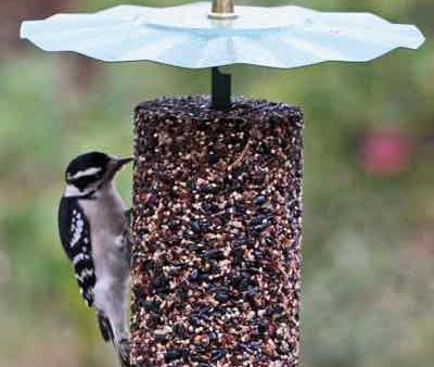 Cylinder Seed Cake Holder Supply