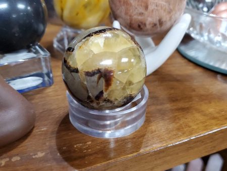 Septarian Sphere on Sale