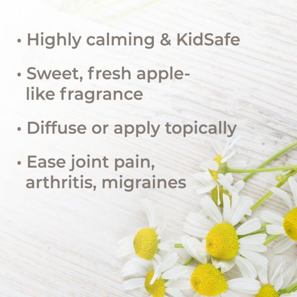 Chamomile Roman Essential Oil 5 ml Organic ( Kidsafe ) Cheap