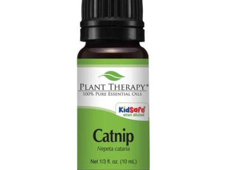 Catnip Essential Oil 10 ML For Sale