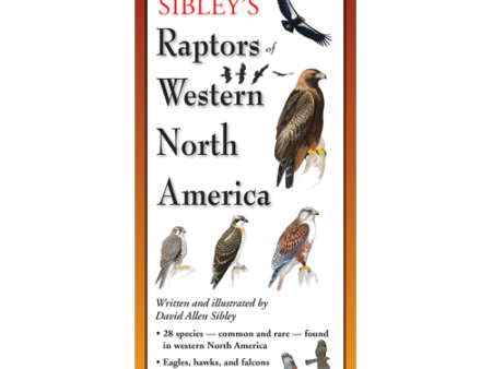 Sibley s Foldout Guide to Raptors of Western North America Discount