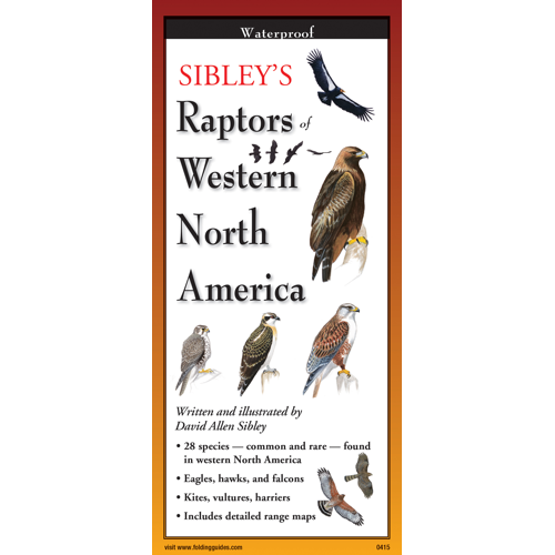 Sibley s Foldout Guide to Raptors of Western North America Discount