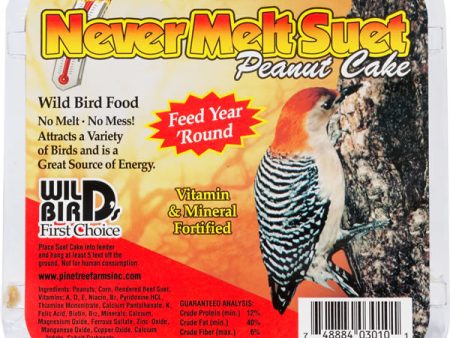 Suet Never Melt Peanut Cake Cheap