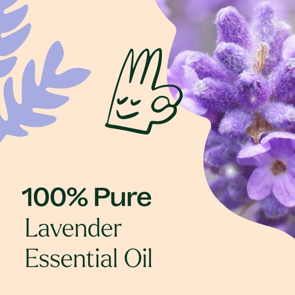 Lavender Essential Oil 10ml ( Kidsafe ) Online Hot Sale