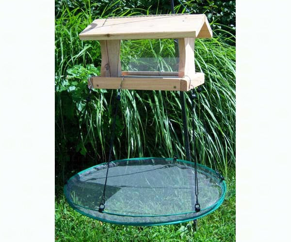 Seed Hoop Cheap