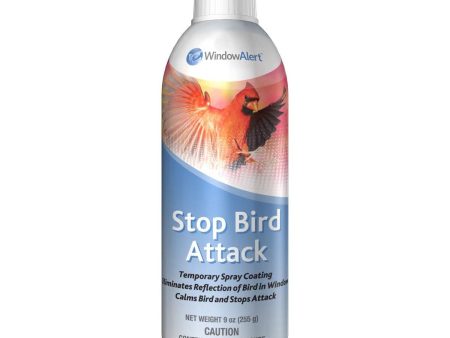 Stop Bird Window Attack Online now