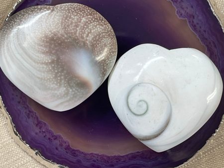 Natural Conch Shell Heart For Sale