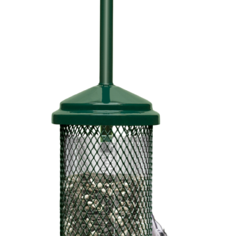 Squirrel Buster Seed Feeders Discount