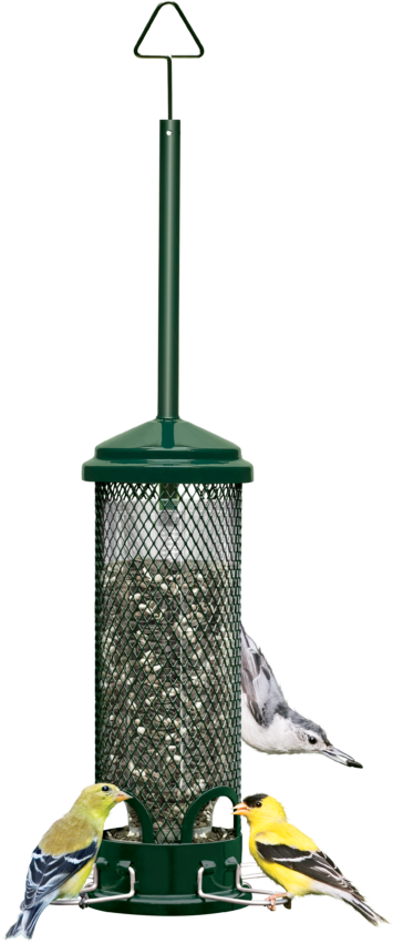 Squirrel Buster Seed Feeders Discount