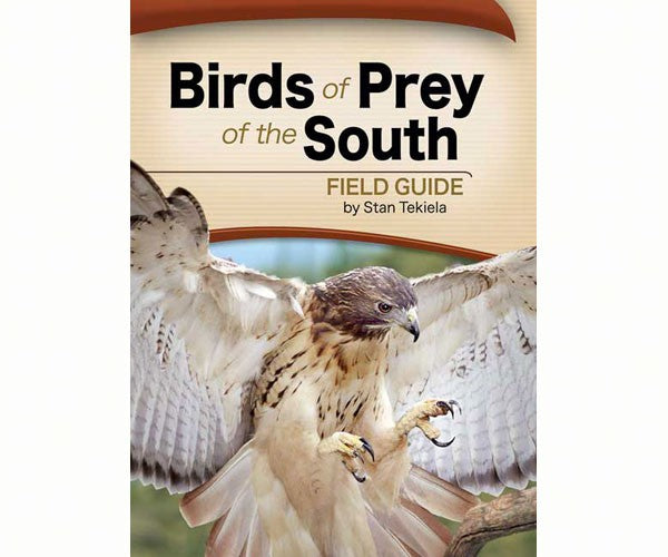 Birds of Prey Field Guide For Discount