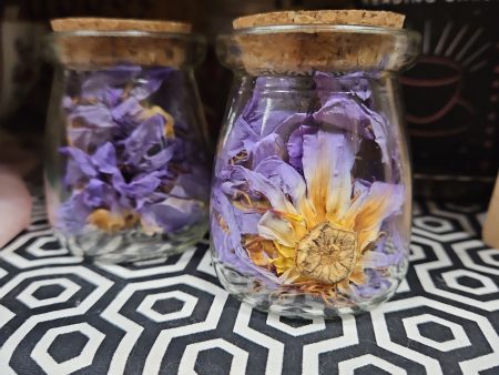 Blue Lotus - Organic Dried Flowers in Apothecary Jar Online Sale