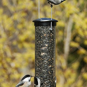 Seed Feeder Tube Quick-Clean Supply