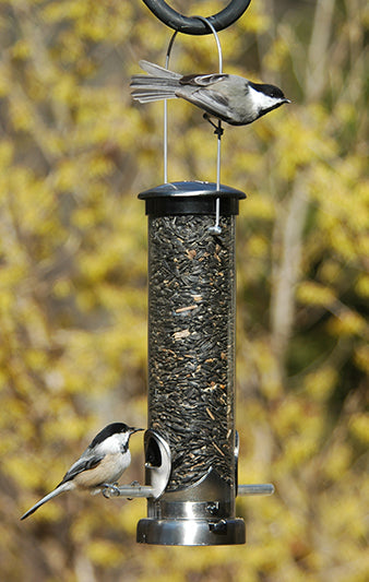 Seed Feeder Tube Quick-Clean Supply