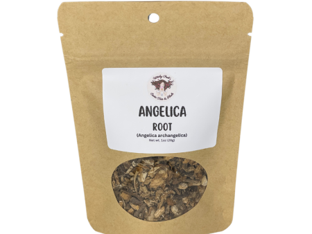 Angelica Root - Herb For Cheap