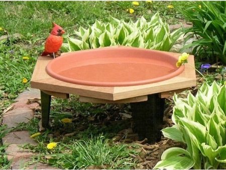 Bird Bath Mini with cedar frame Fashion