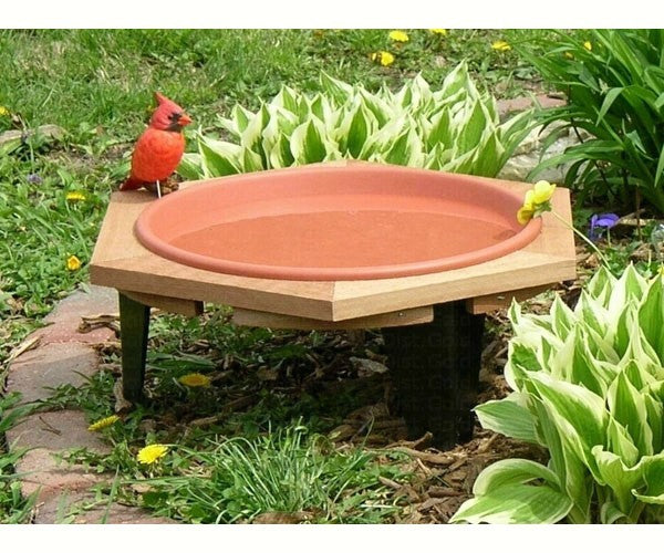 Bird Bath Mini with cedar frame Fashion