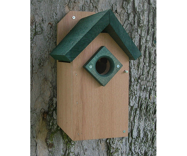 Nest Box Cheap