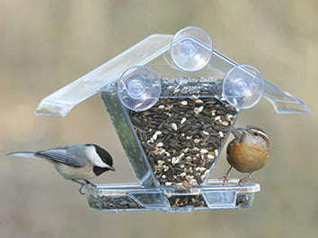 Window Seed Feeder Hot on Sale