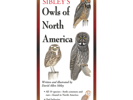 Sibley s Foldout Guide to Owls of North America Online Hot Sale