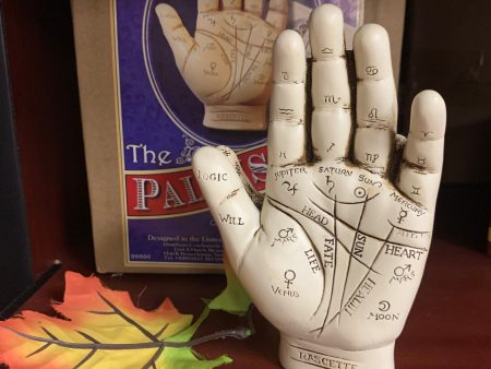 Palmistry Hand Kit 5  Online now