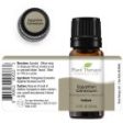 Geranium Egyptian Essential
Oil 10ml ( Kidsafe ) For Sale