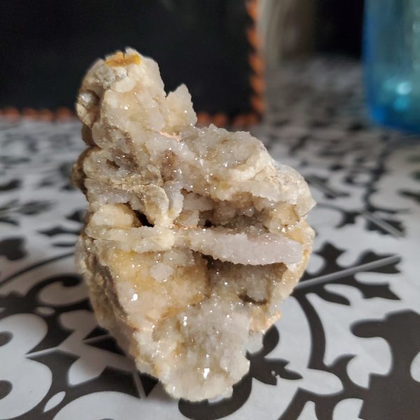 Spiralite Gemshell Specimen - Small For Sale