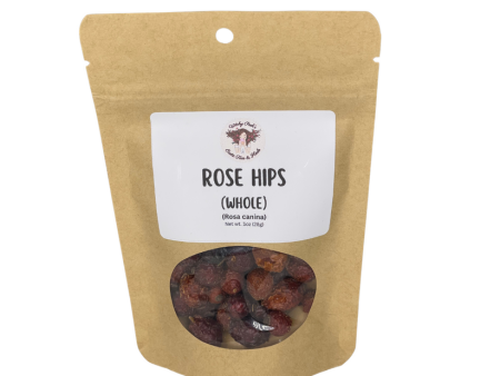 Rose Hips - Whole (Rosa canina) - Herb Online Hot Sale