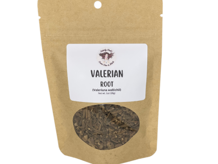 Valerian Root (Valeriana wallichii) - Herb Supply