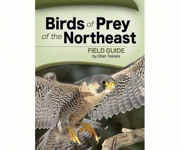 Birds of Prey Field Guide For Discount