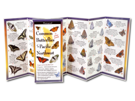 Foldout Guide to Common Butterflies of the PNW For Sale