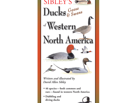 Sibley s Foldout Guide to Ducks, Geese & Swans of Western North America Sale